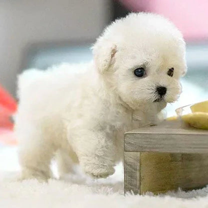 Christmas-Sale 49%OFF🍁💖Glenivo® Nicco - My Realistic Robot Puppy