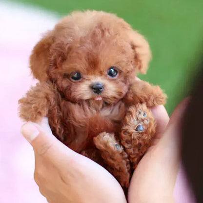 Christmas-Sale 49%OFF🍁💖Glenivo® Nicco - My Realistic Robot Puppy